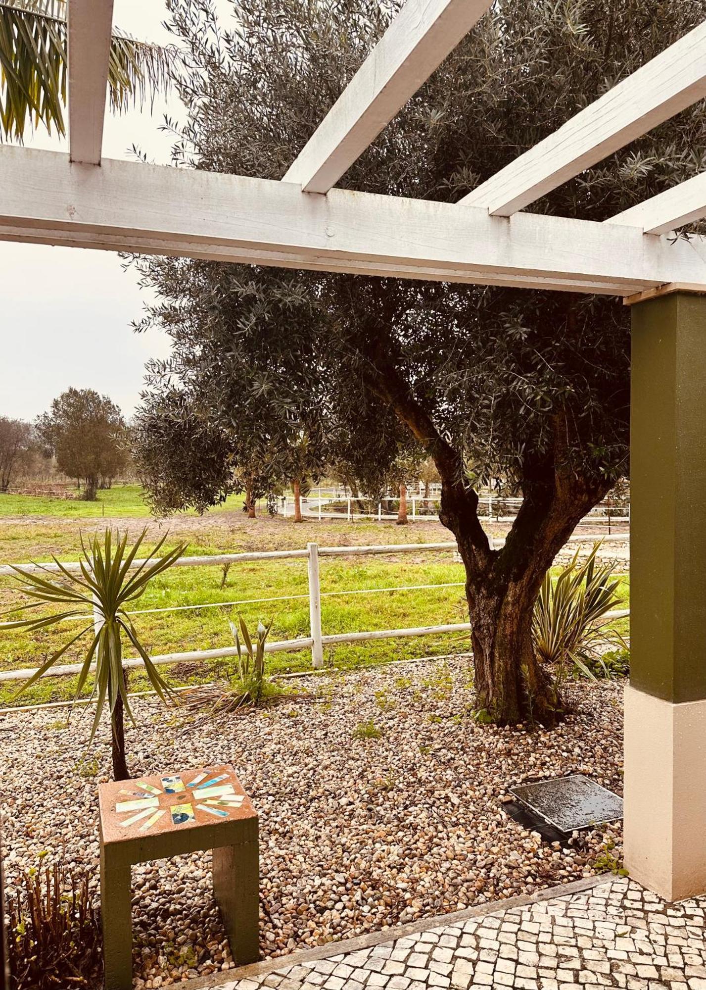 Quinta Do Pinheiro Hotel E Eventos By Grupo Quinta Dos Lagos Valado de Frades Exteriér fotografie